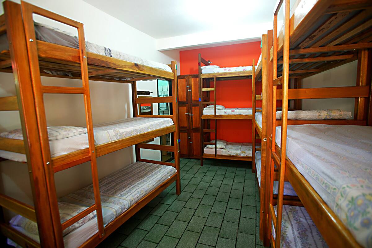 A dormitory room with bunk beds, a red wall, and a green floor.