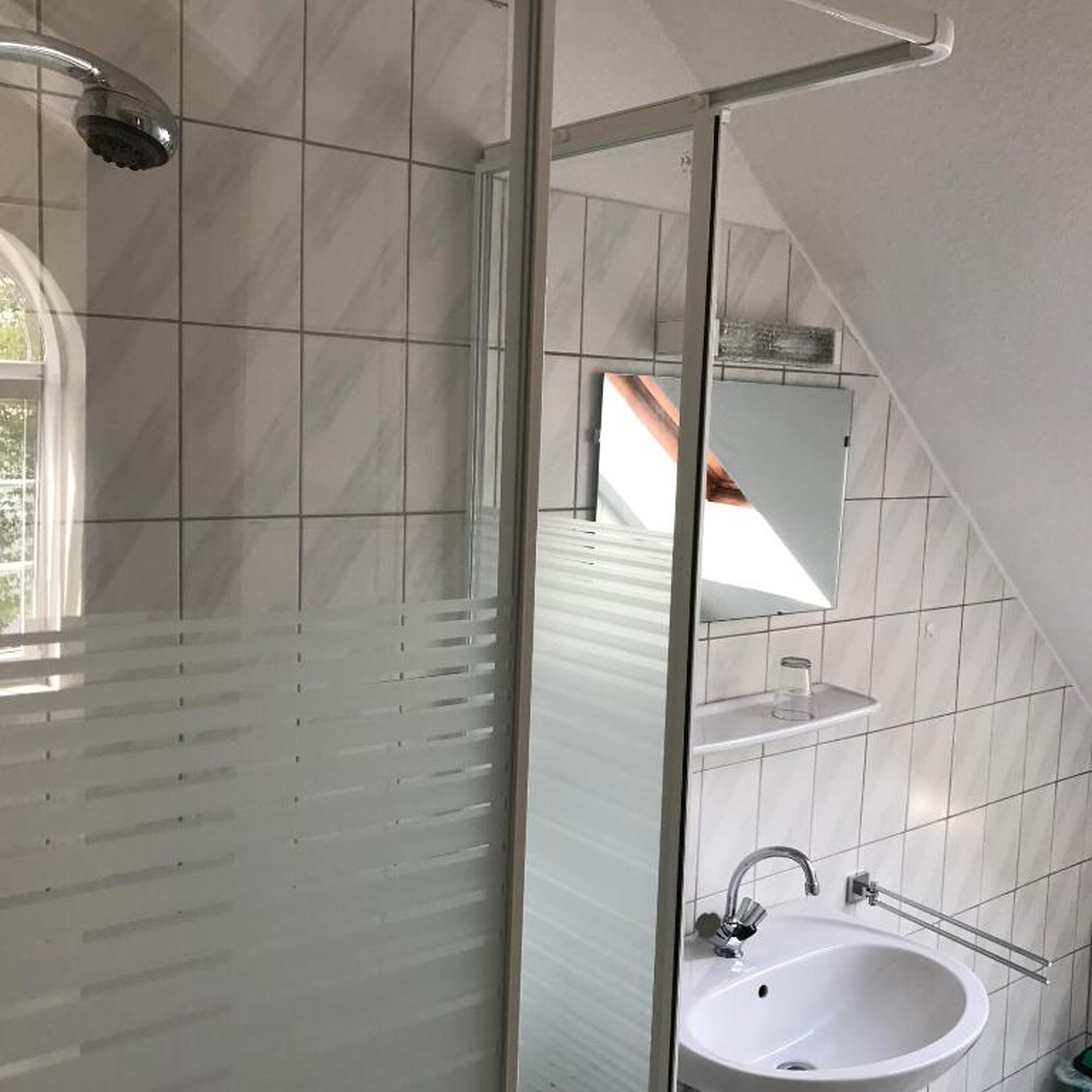 A modern bathroom with a shower, a sink, and a large mirror.