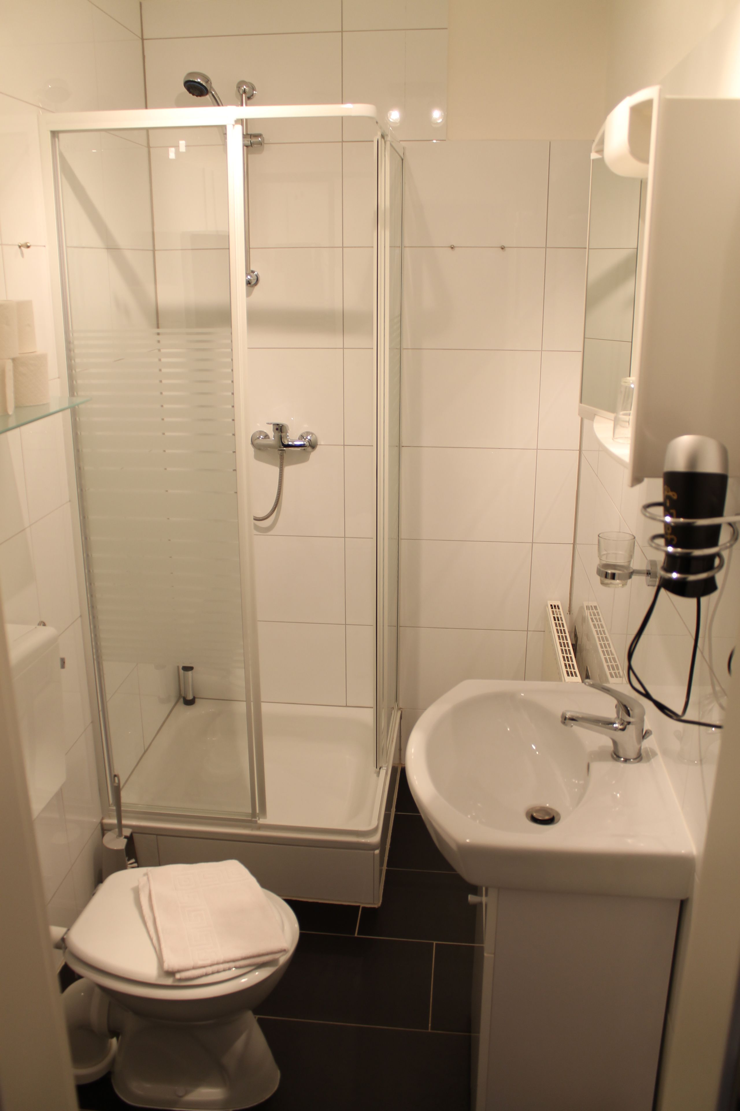 Een badkamer met een douche met glazen wand, een witte wastafel en een toilet.