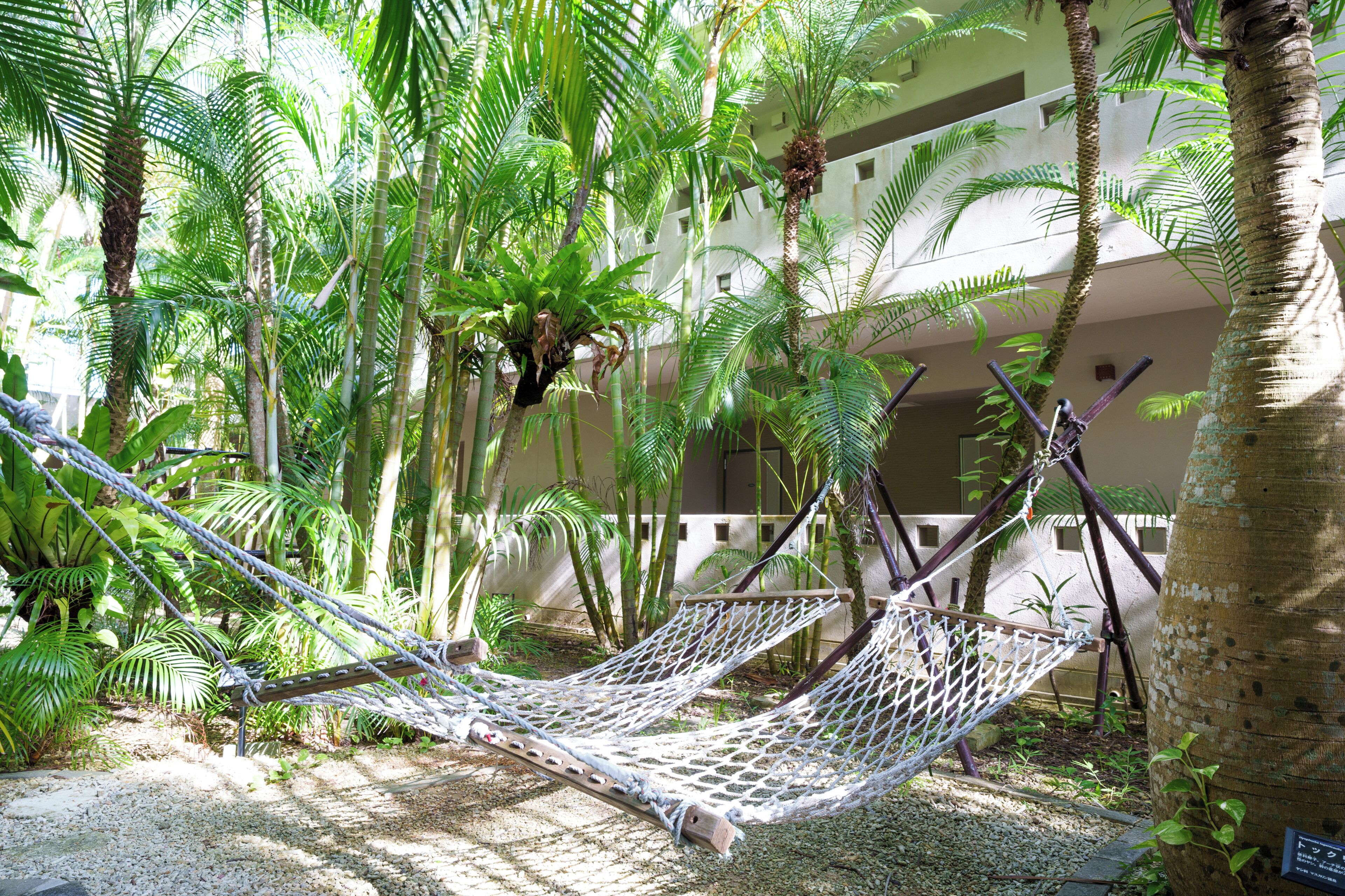 Una hamaca en un jardín exuberante con palmeras y un edificio al fondo.
