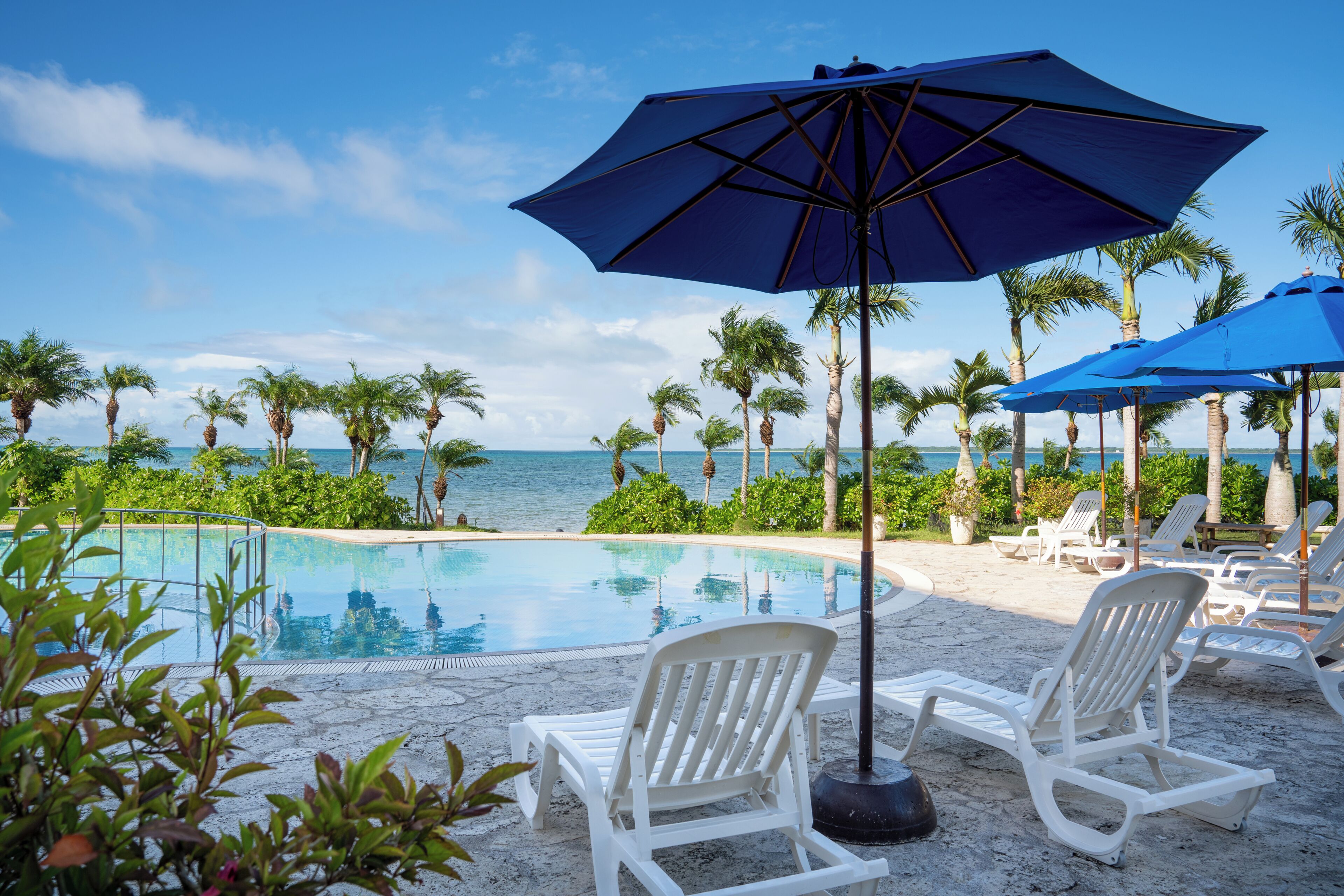 A poolside area with lounge chairs and umbrellas, palm trees, and a view of the ocean.
