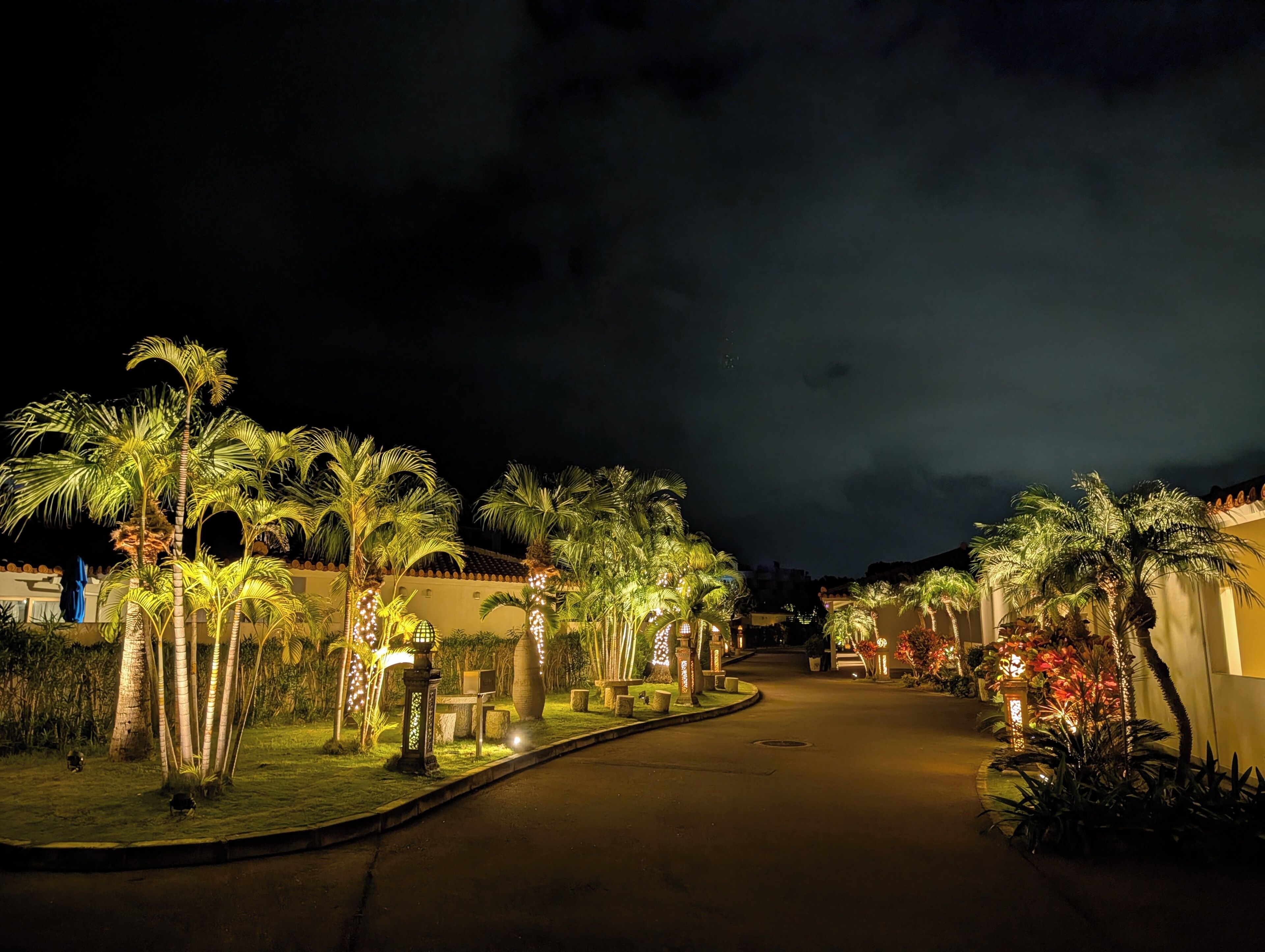 A nighttime view of a street lined with palm trees and illuminated by street lamps.