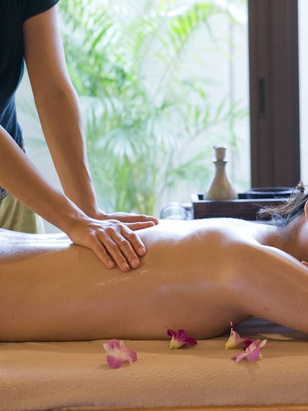 Hot tub, body treatments, aromatherapy, body wraps, body scrubs, facials