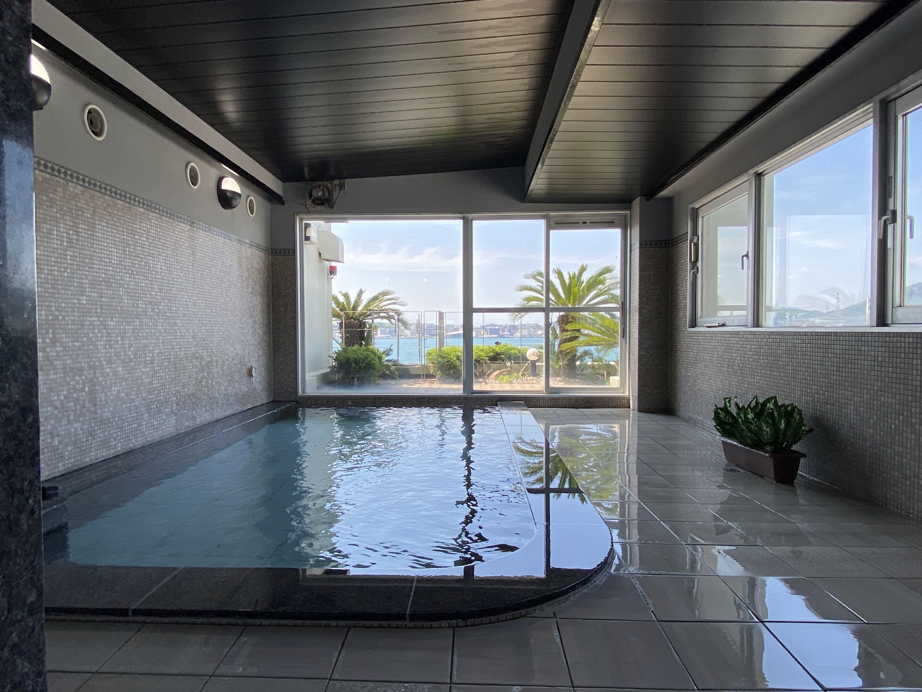 Una piscina interior con vistas al mar y palmeras.