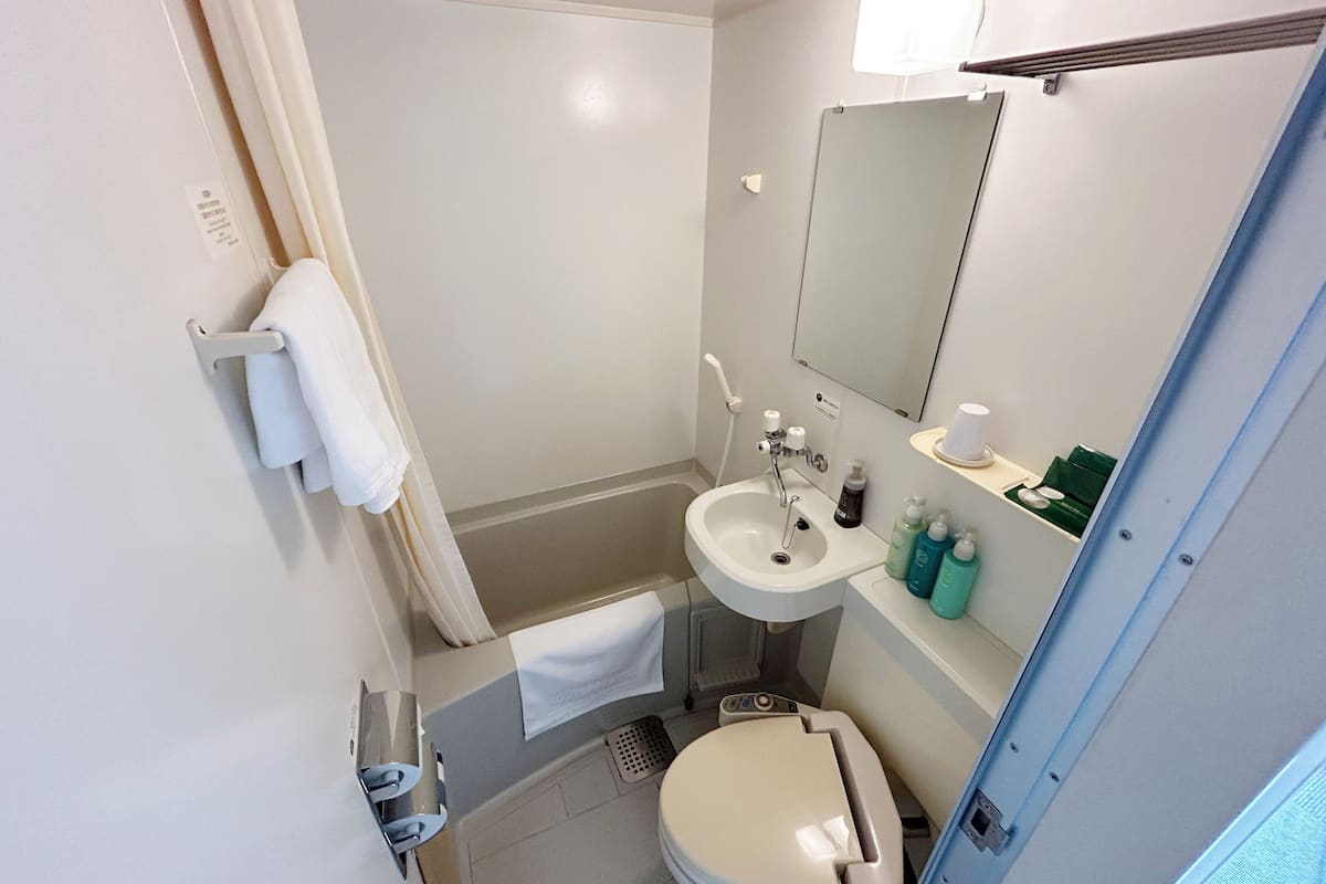 combined shower/bathtub, free toiletries, hair dryer, slippers