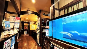 Se sirven cenas y cocina japonesa