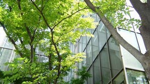 Un bâtiment moderne doté de grandes fenêtres en verre et d’un arbre devant.