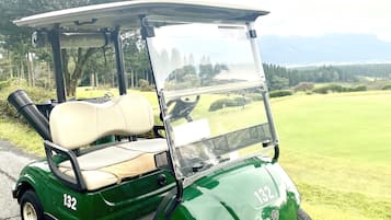 Carrito de golf