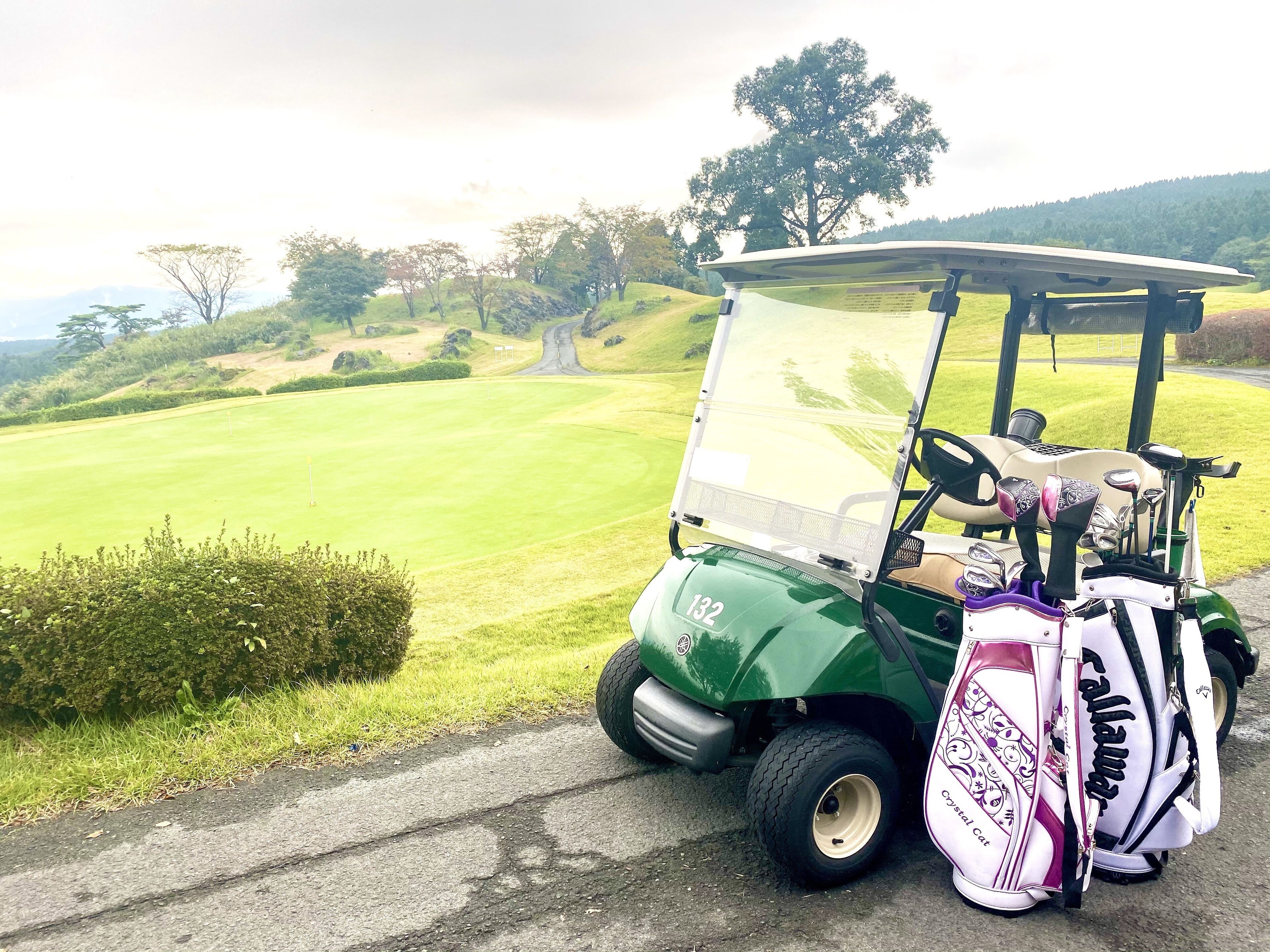 Un véhicule de golf est garé sur une route, avec un terrain de golf en arrière-plan.