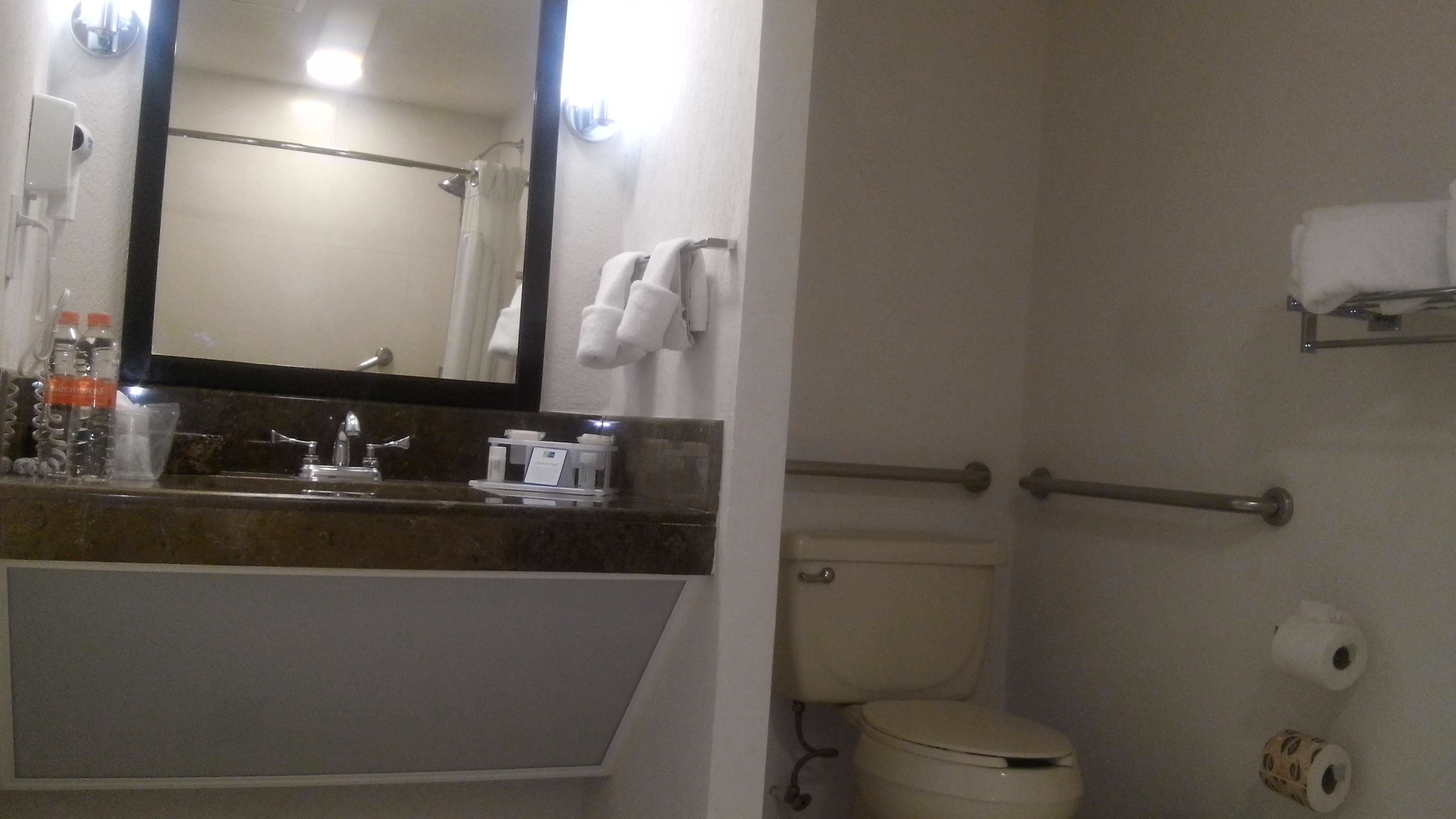 standard room, 1 king bed, accessible | 1 bedroom, down duvets, in-room safe, desk