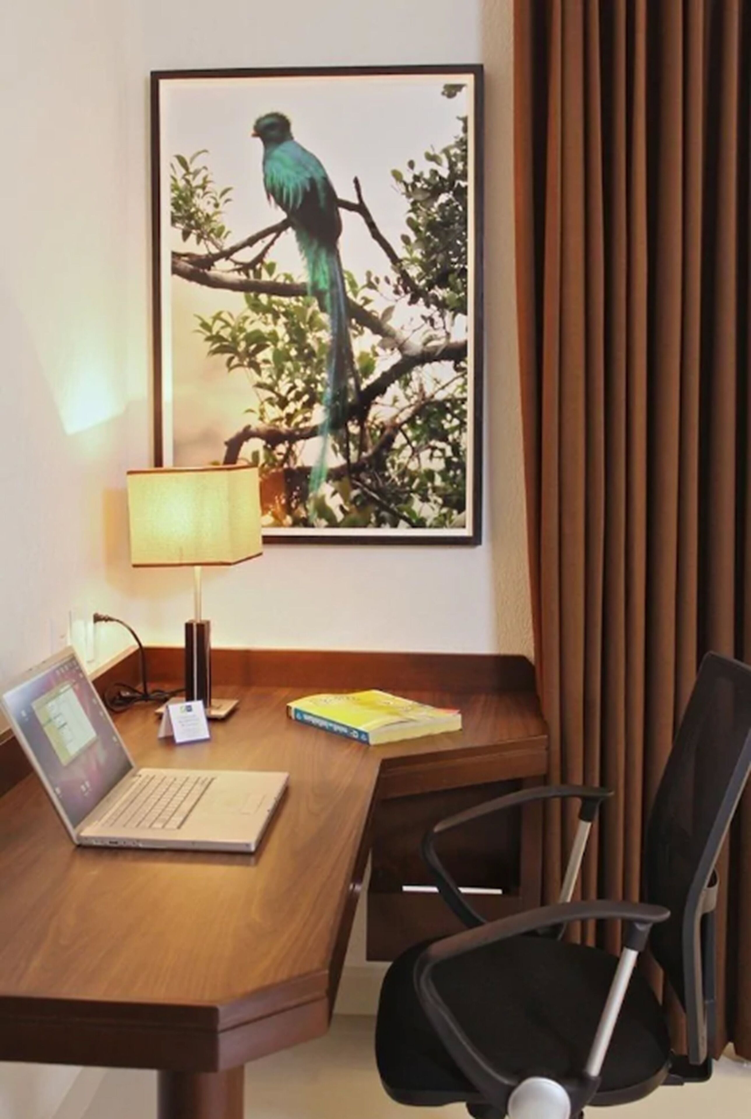 standard room | 1 bedroom, down duvets, in-room safe, desk