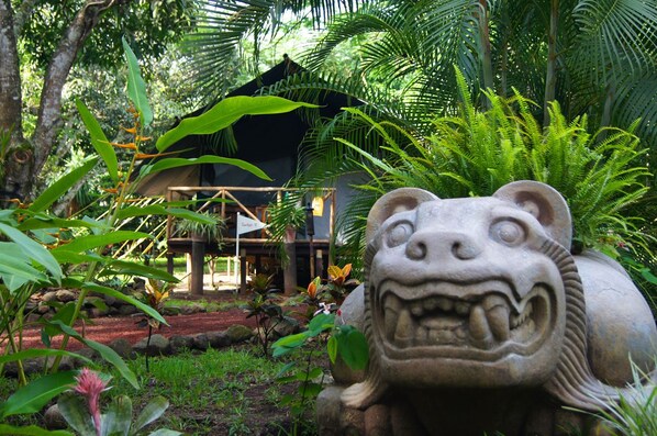 Exterior - Expediciones Mexico Verde (Jalcomulco)