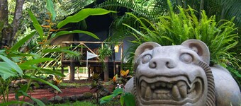 Expediciones Mexico Verde