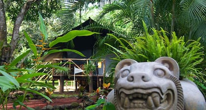 Expediciones Mexico Verde