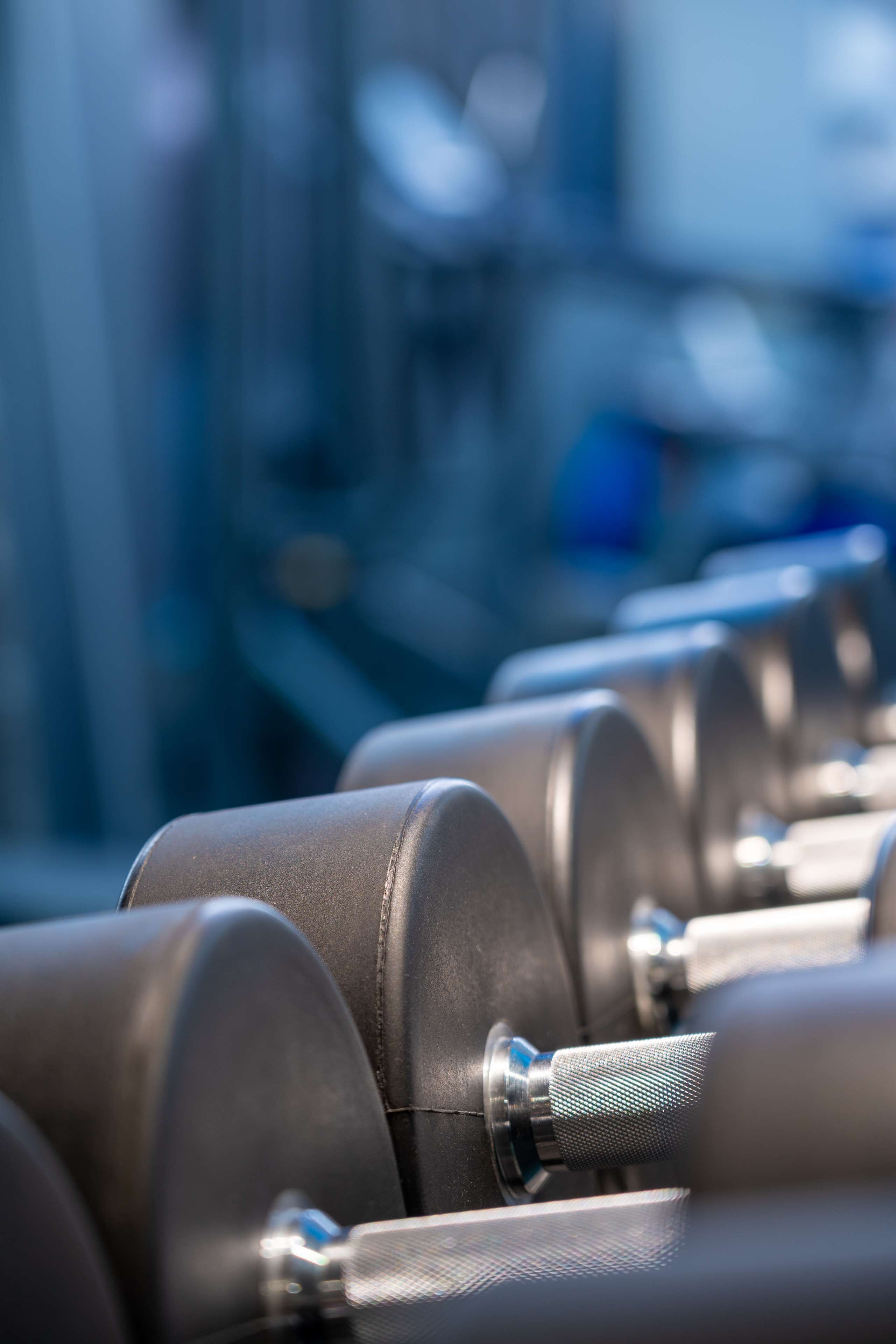 A row of black dumbbells with silver weights and textured handles, likely in a gym setting.