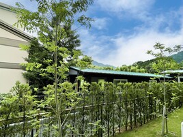 Un edificio con techo verde, rodeado de varios árboles y un paisaje montañoso.