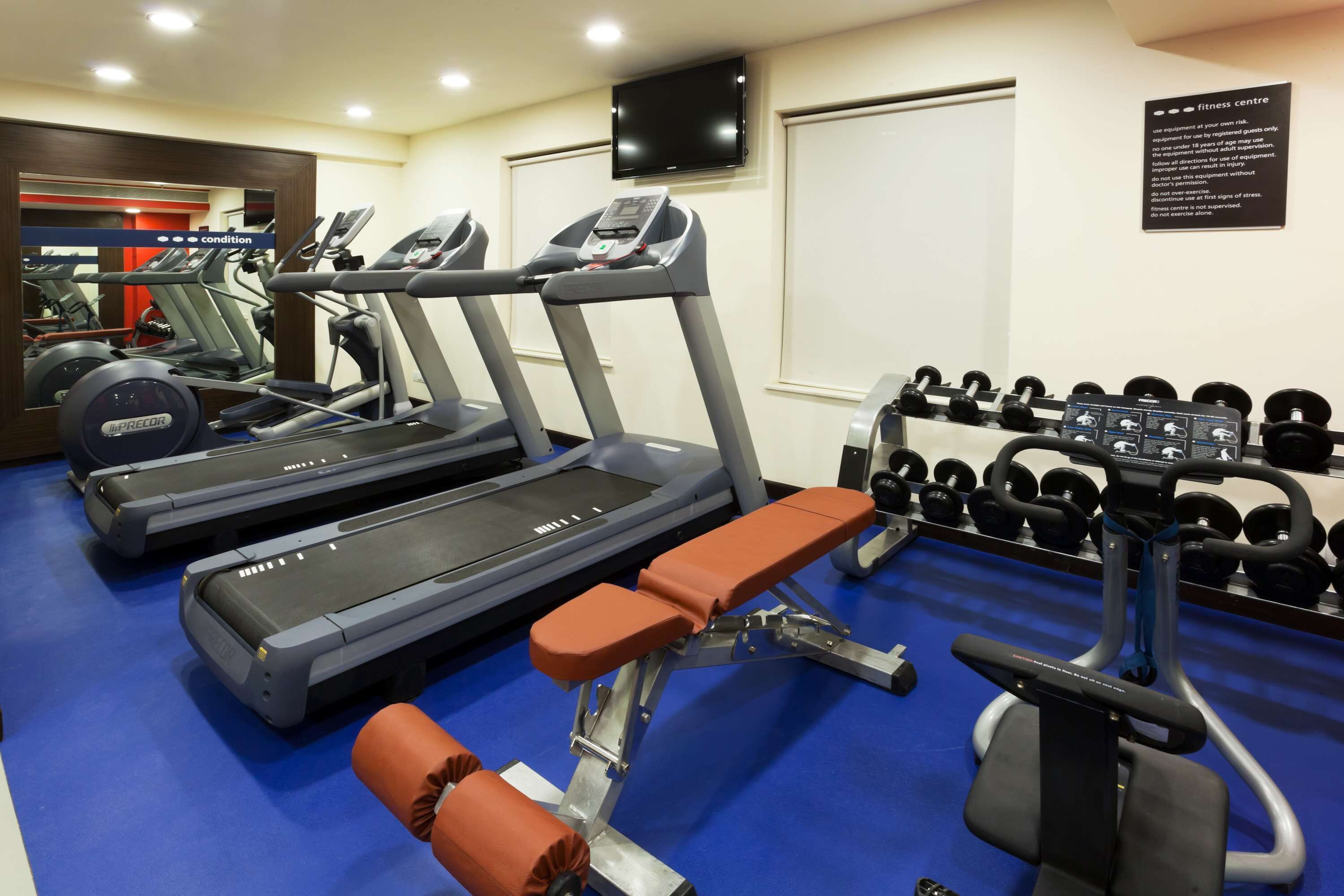 A gym with treadmills, a bench, and dumbbells.