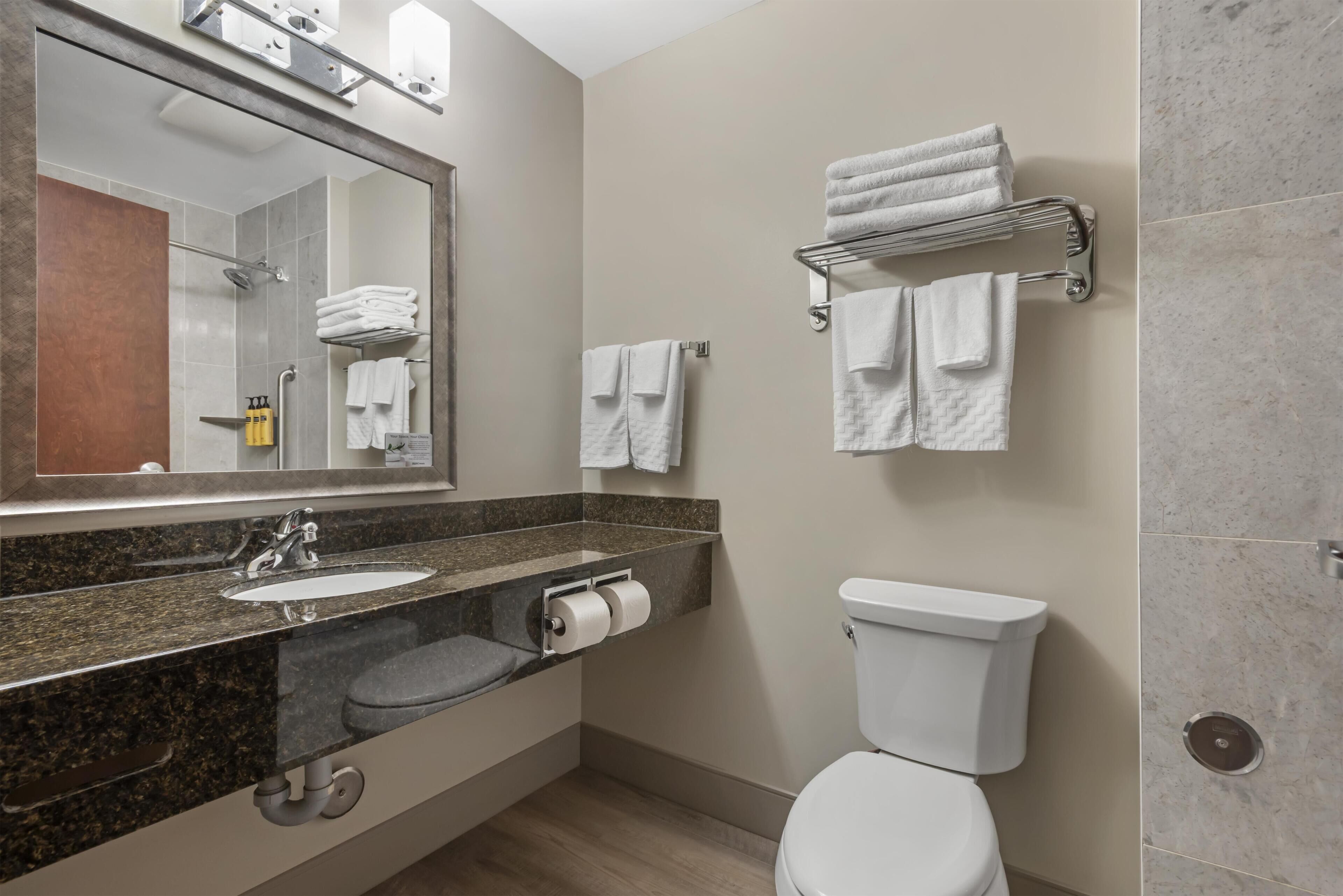 Une salle de bain moderne avec un comptoir en granit, un lavabo, des toilettes et un porte-serviettes.