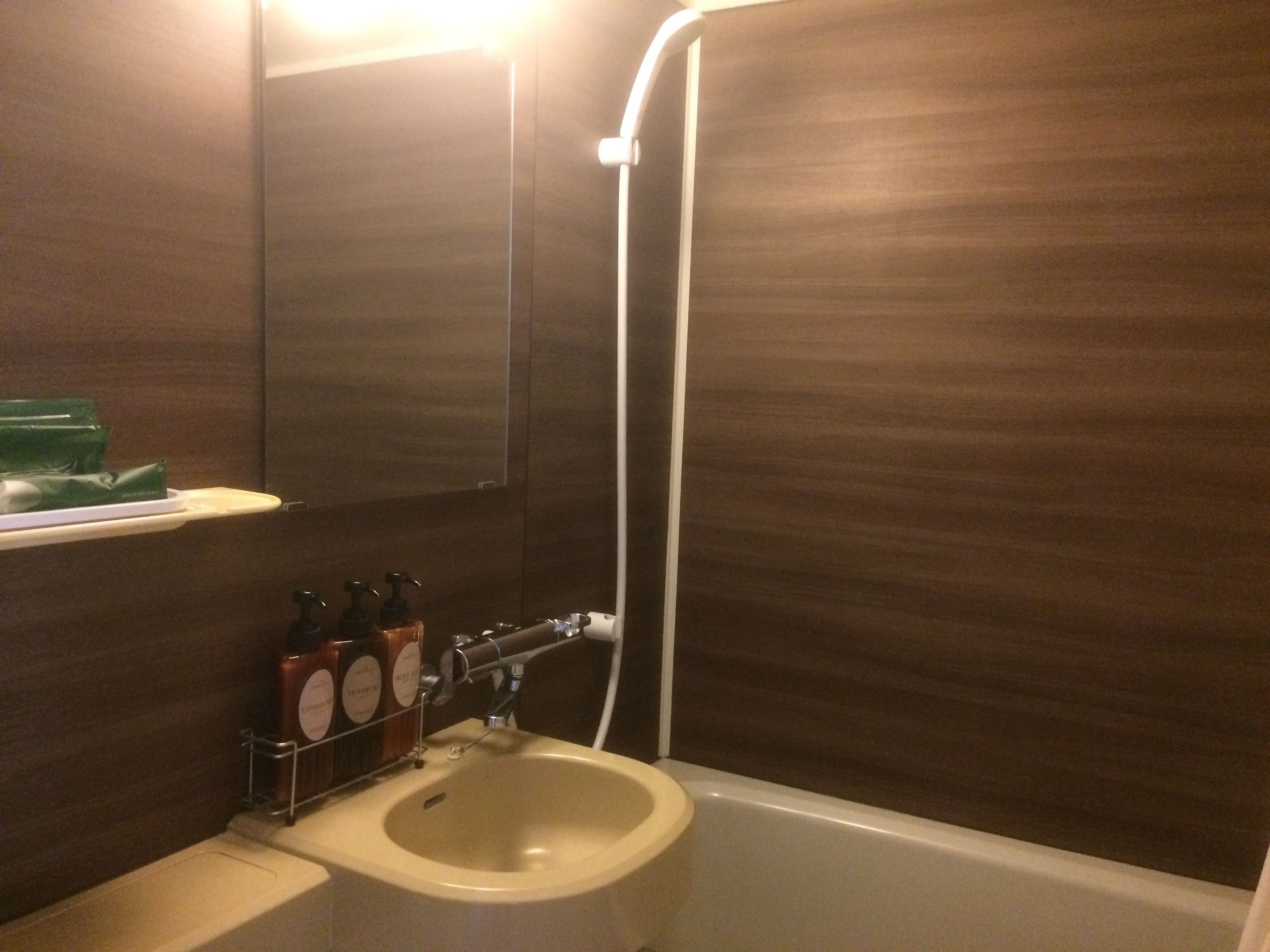 combined shower/bathtub, free toiletries, hair dryer, slippers