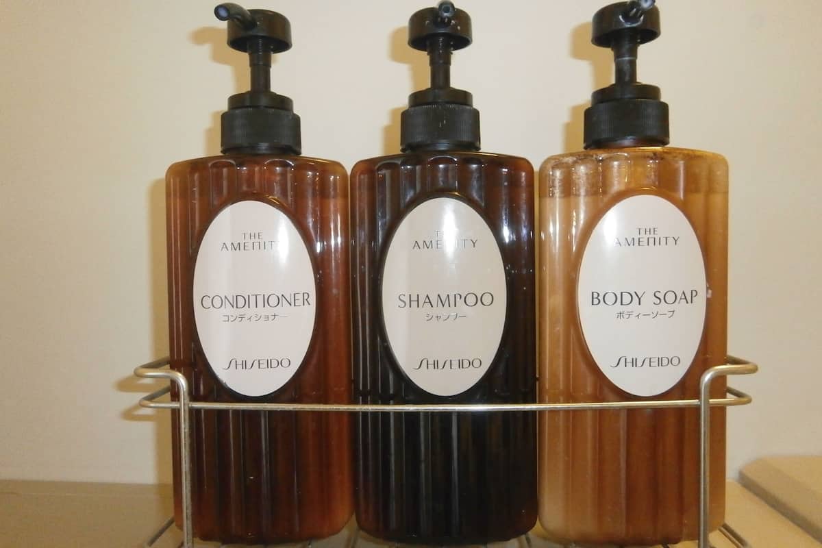 combined shower/bathtub, free toiletries, hair dryer, slippers