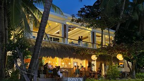 Un bar situé en bord de mer, doté d’une terrasse, de palmiers et d’un toit de chaume.
