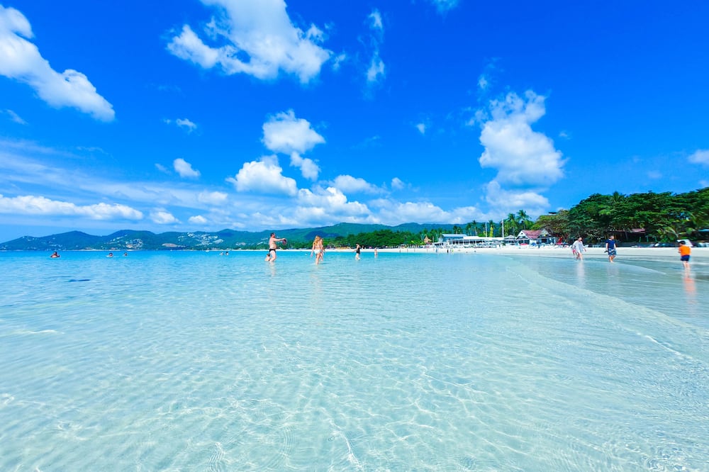 Chaweng Garden Beach Resort