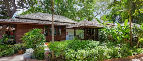 Garden view