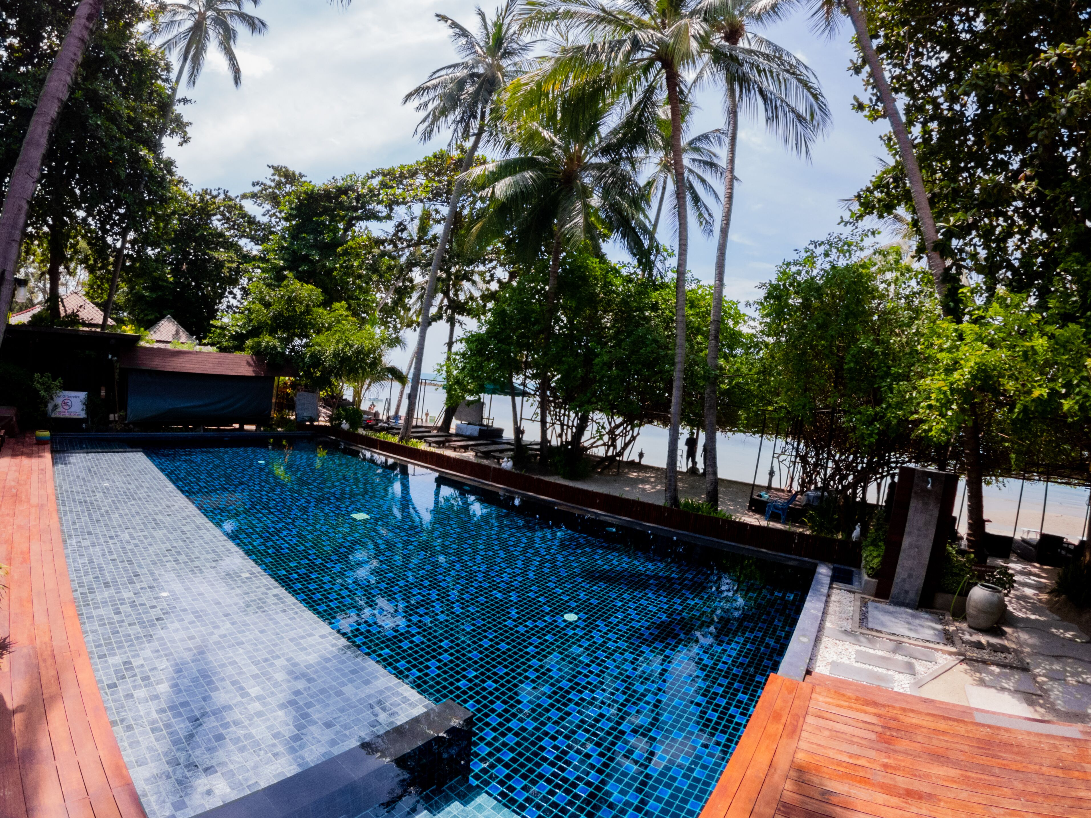 A swimming pool with a tiled deck, surrounded by palm trees and a view of the sea.