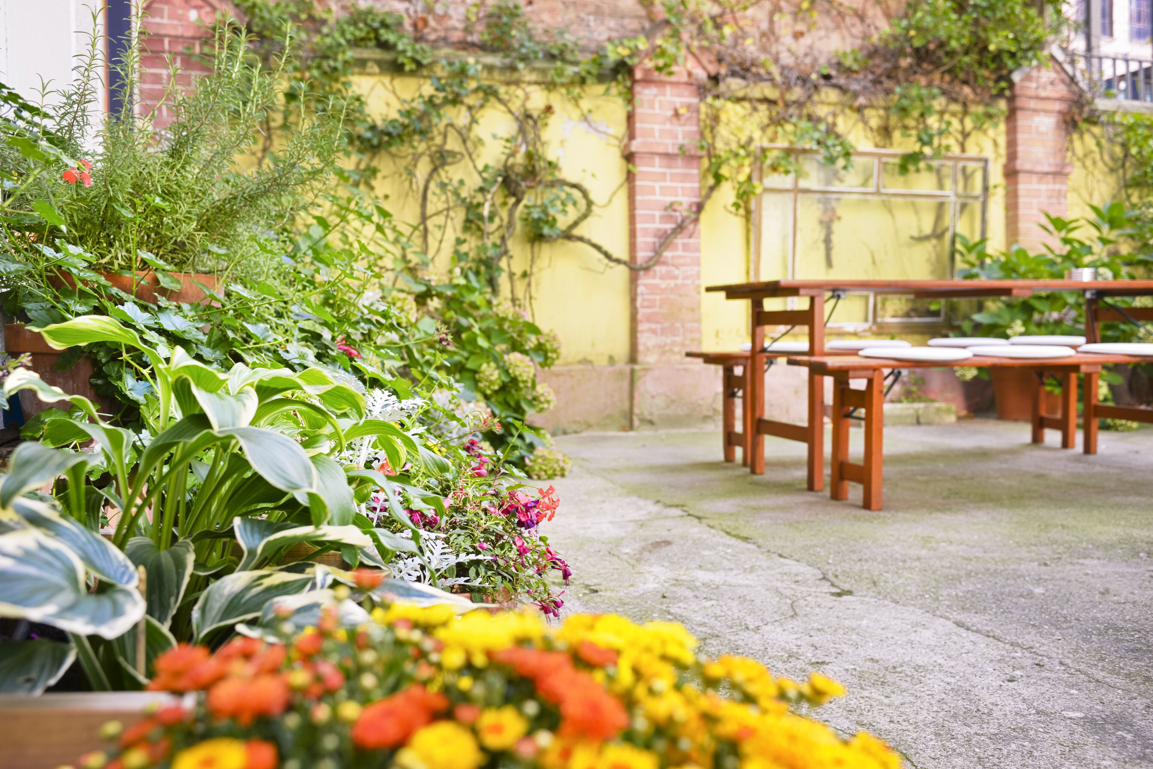 Foto - Old Town Hotel