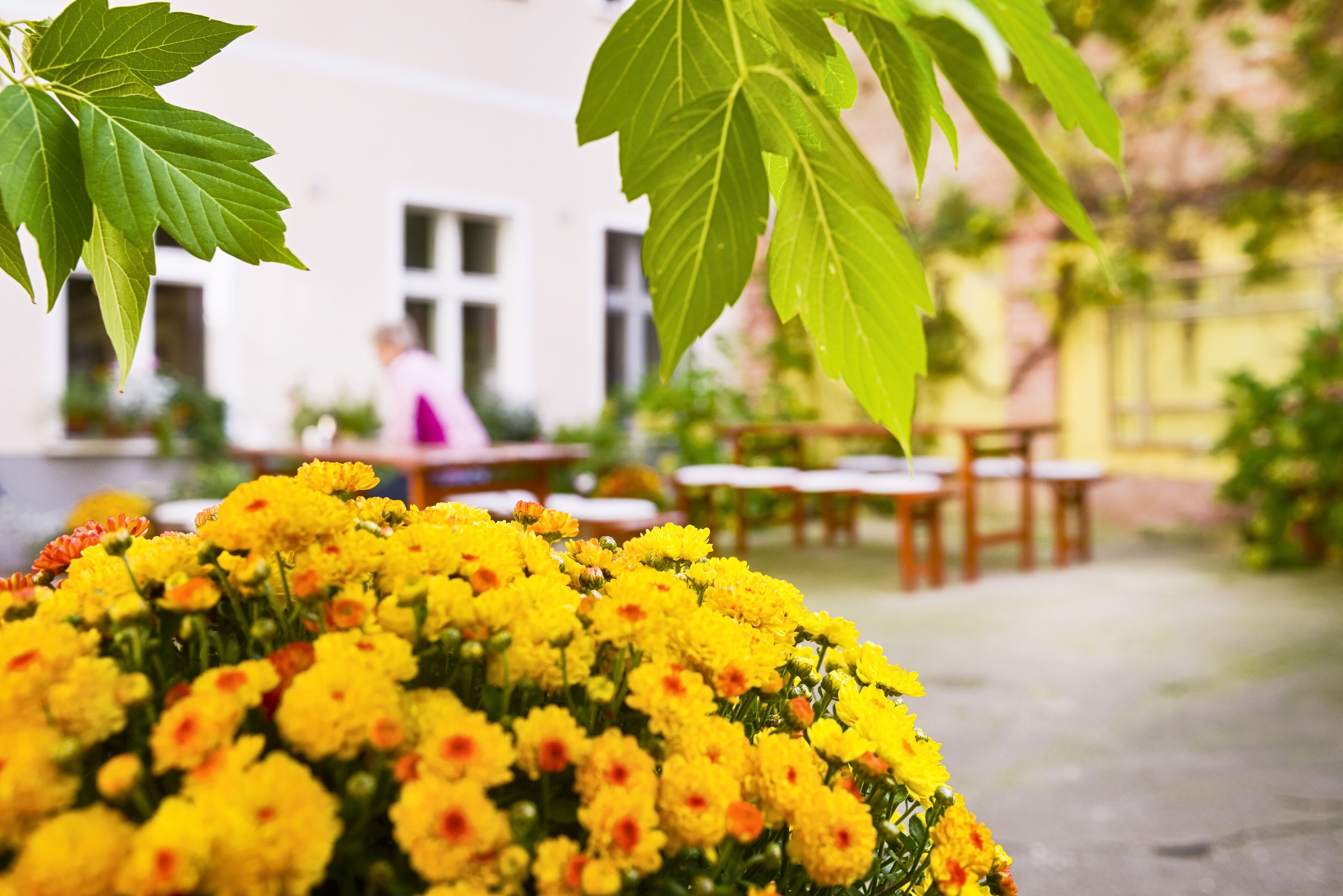 Foto - Old Town Hotel