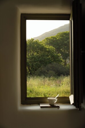 Une fenêtre donnant sur un champ verdoyant et des arbres, avec une tasse et une cuillère posées sur le rebord de la fenêtre.