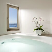 A bathroom with a bathtub, a window with a view of the sea, and a potted orchid plant.