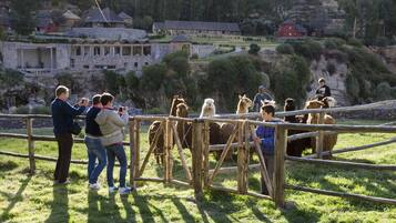 Un grupo de personas observando llamas detrás de una cerca de madera en un área con hierba, con un edificio de piedra al fondo.
