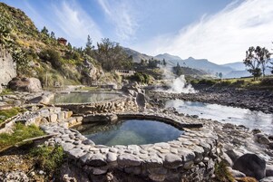 Natural pool