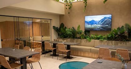 Palmetto Hotel Business San Borja