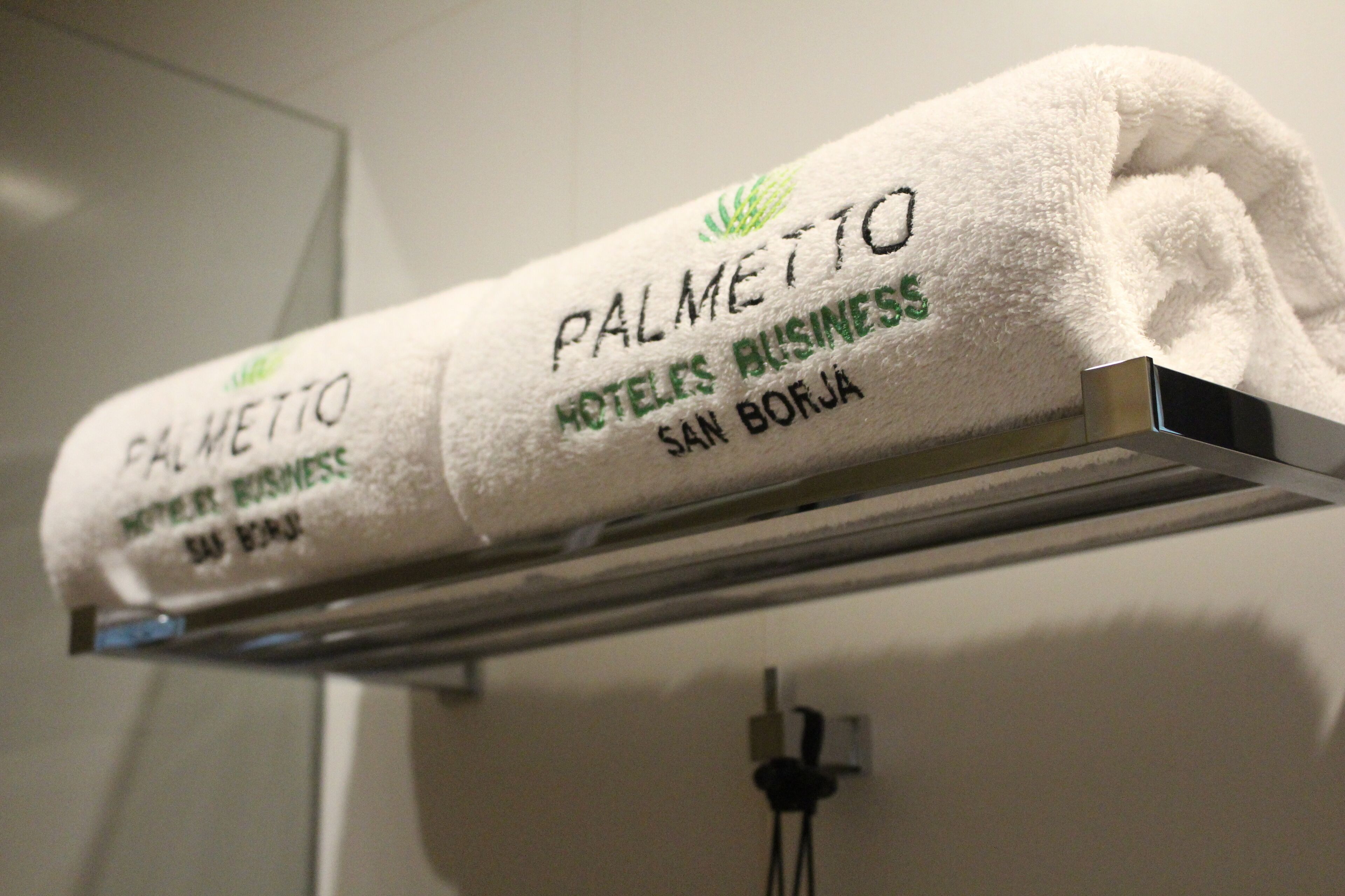 Foto - Palmetto Hotel Business San Borja