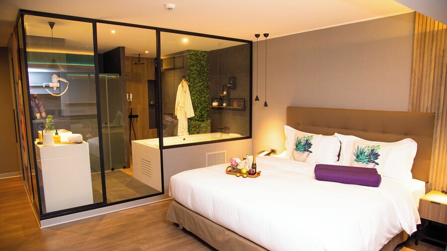 Palmetto Hotel Business San Borja