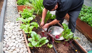 Courtyard - Palmetto Hotel Business San Borja (Lima)