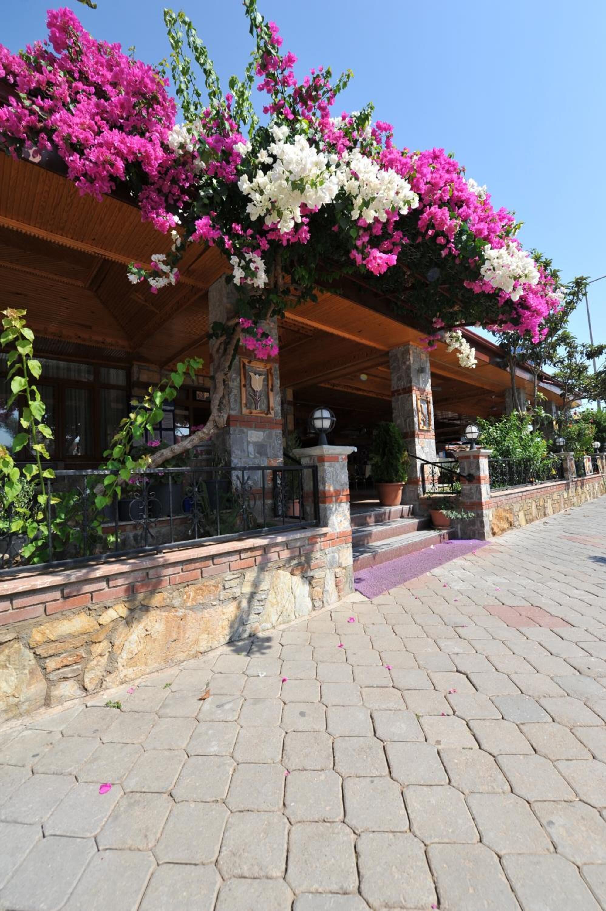 Foto - Magic Tulip Beach Hotel