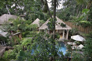Nandini Family Pool Villa, 2 Bedroom | View from room