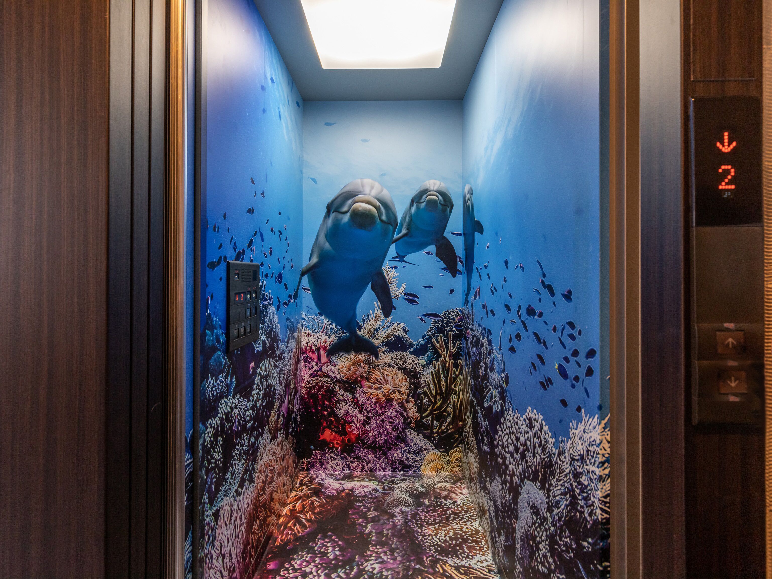 Foto - Tabist Sparkling Dolphins Inn Kyoto