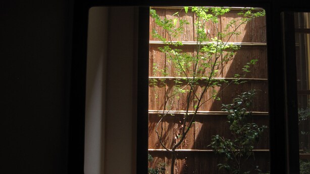A window with a view of a wooden fence and a tree. - Kagariya (Kyoto)