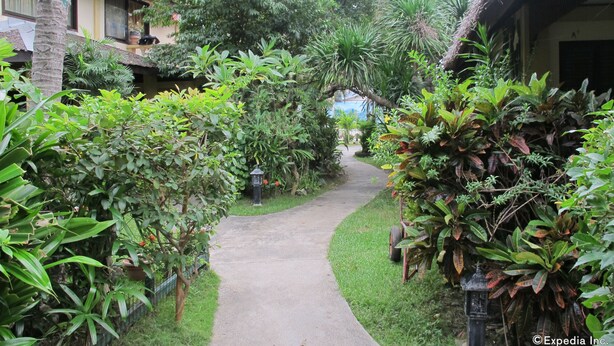 Property grounds - Blue Ribbon Dive Resort (Puerto Galera)