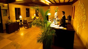 Un área de recepción con escritorio, sillas, un sofá y una planta grande.