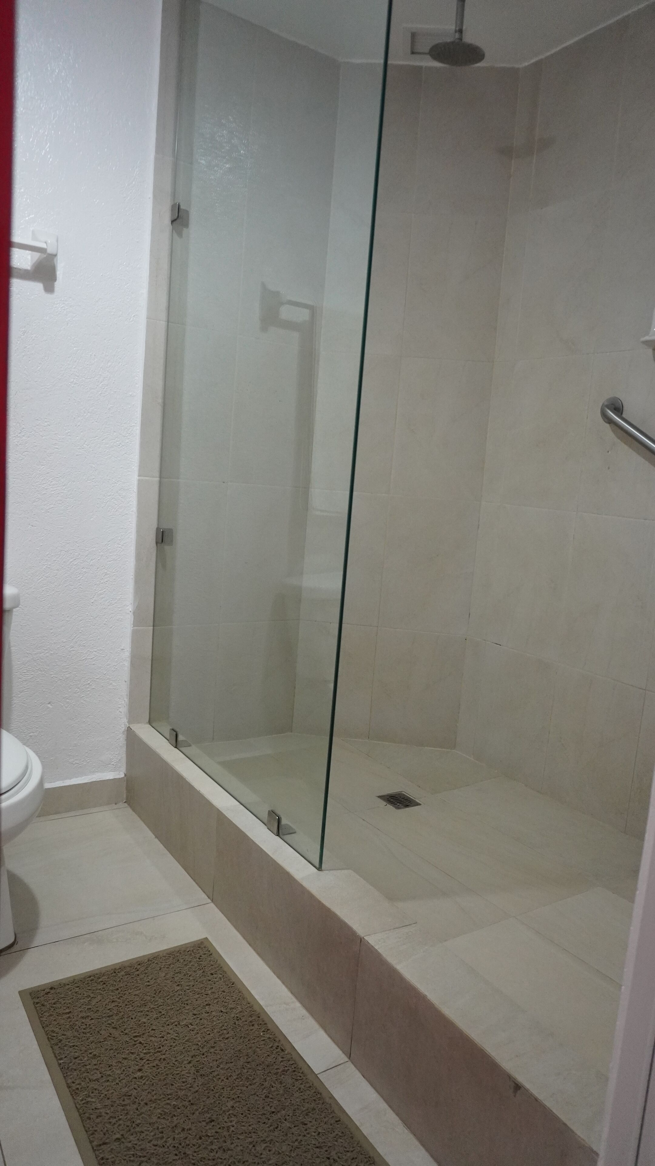 A bathroom with a glass-enclosed shower, a white toilet, and a beige rug.