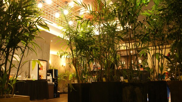 Lobby lounge - VIV Classic Hotel (Seoul)