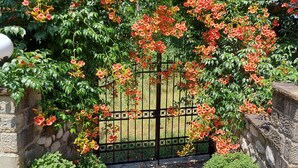 A stone gate with a metal fence, surrounded by lush greenery and flowering plants. - Hotel Spiridoula (Konitsa)