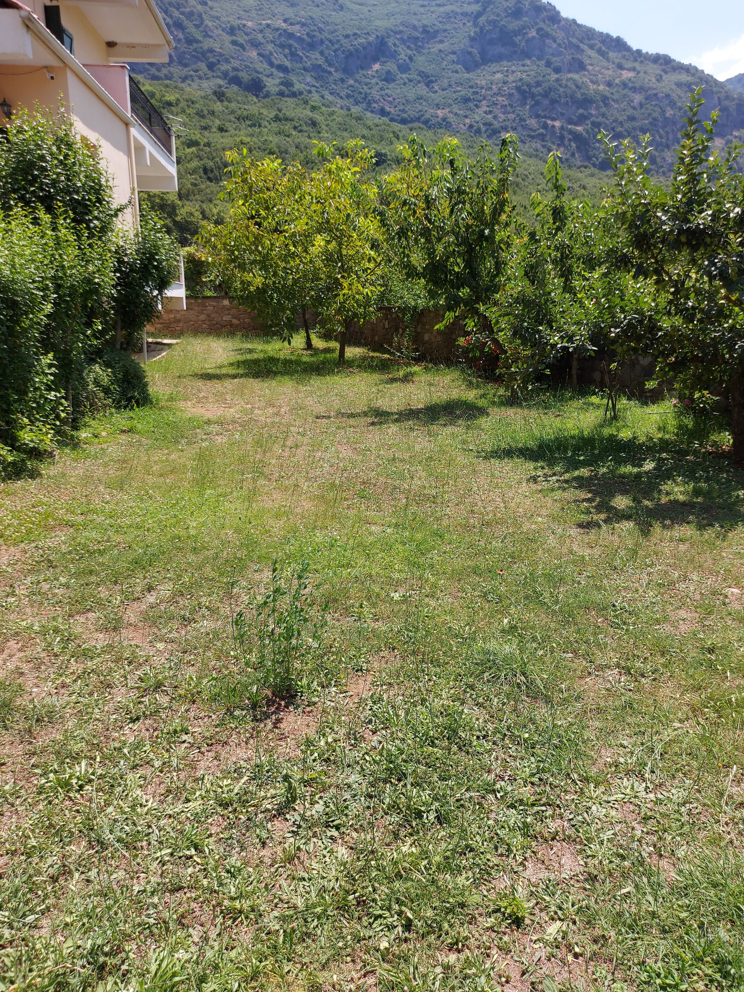 A grassy area with a building and trees in the background.