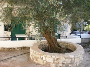 Property grounds - Damaskis Studios a Small Complex in Kassiopi (Corfu)