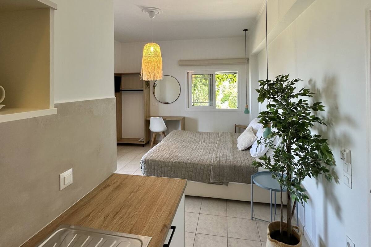 A modern kitchen with a wooden countertop and a sink, a dining area with a table and chairs, a bed with a view of the outdoors, and a potted plant.